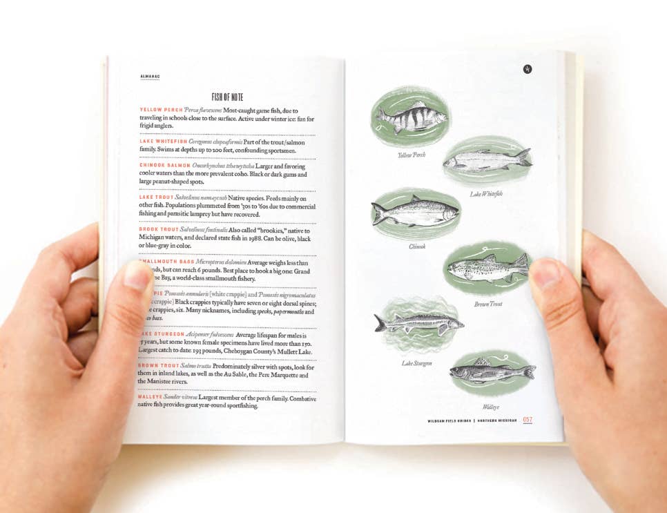 Northern Michigan Field Guide Book