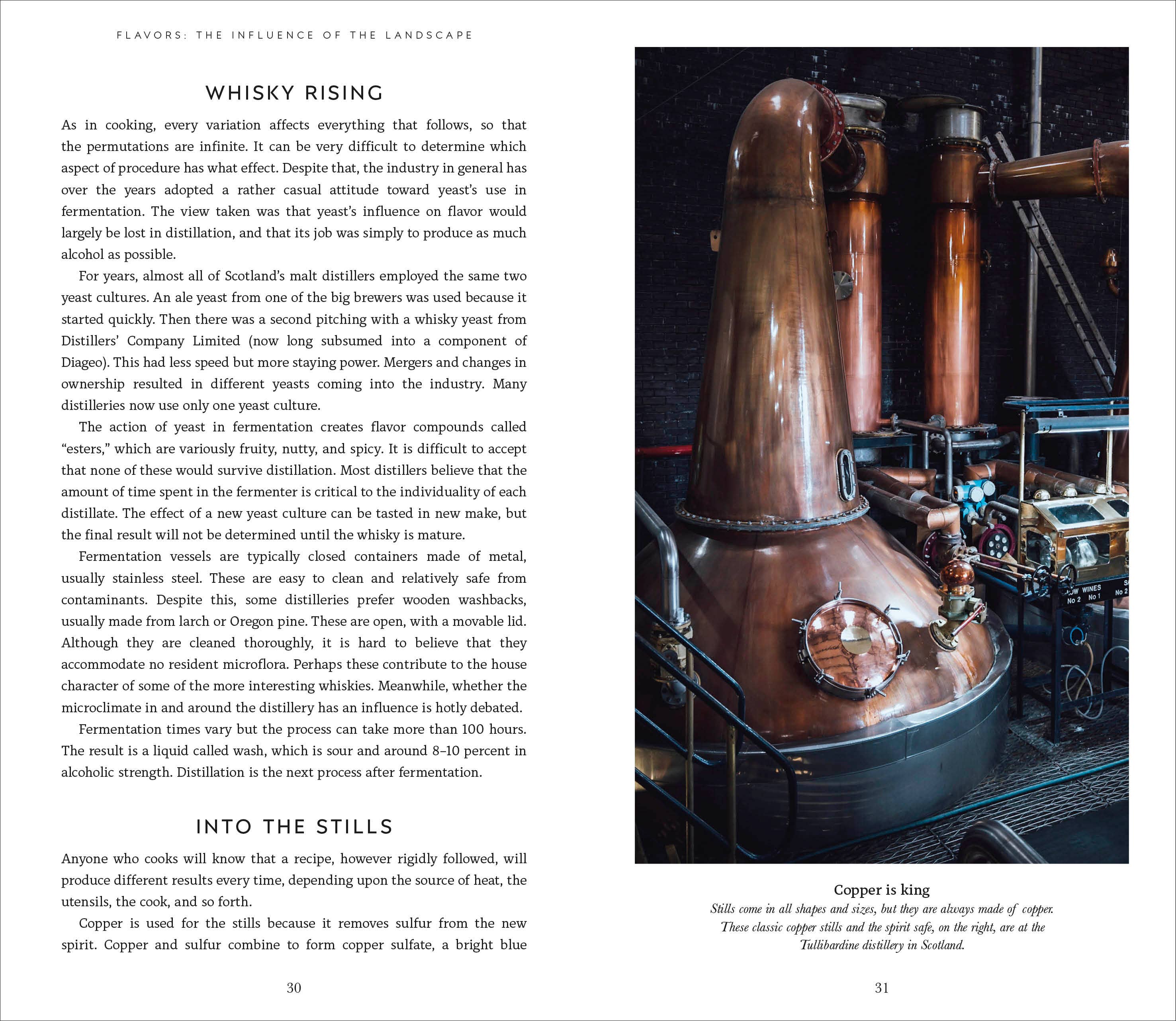 Complete Guide to Single Malt Scotch