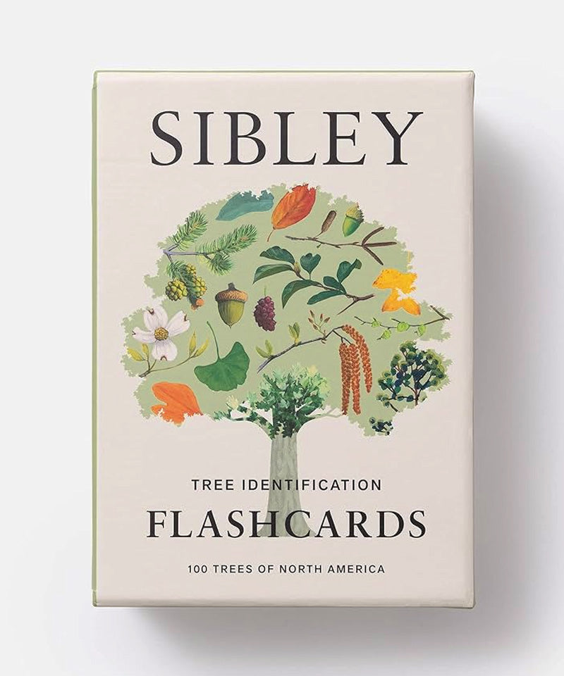 Sibley Tree Identification Flashcards