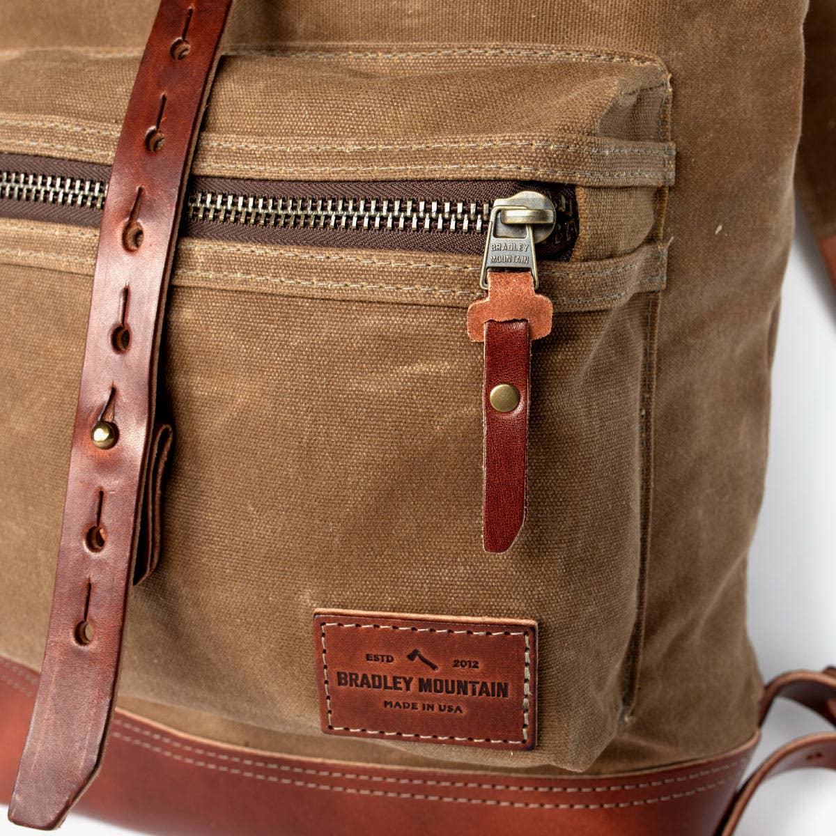 The Biographer in Brush Brown