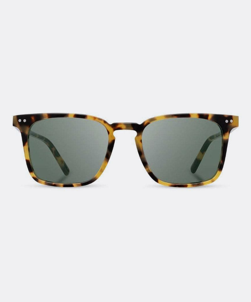 Hamilton Acetate Sunglasses in Havana