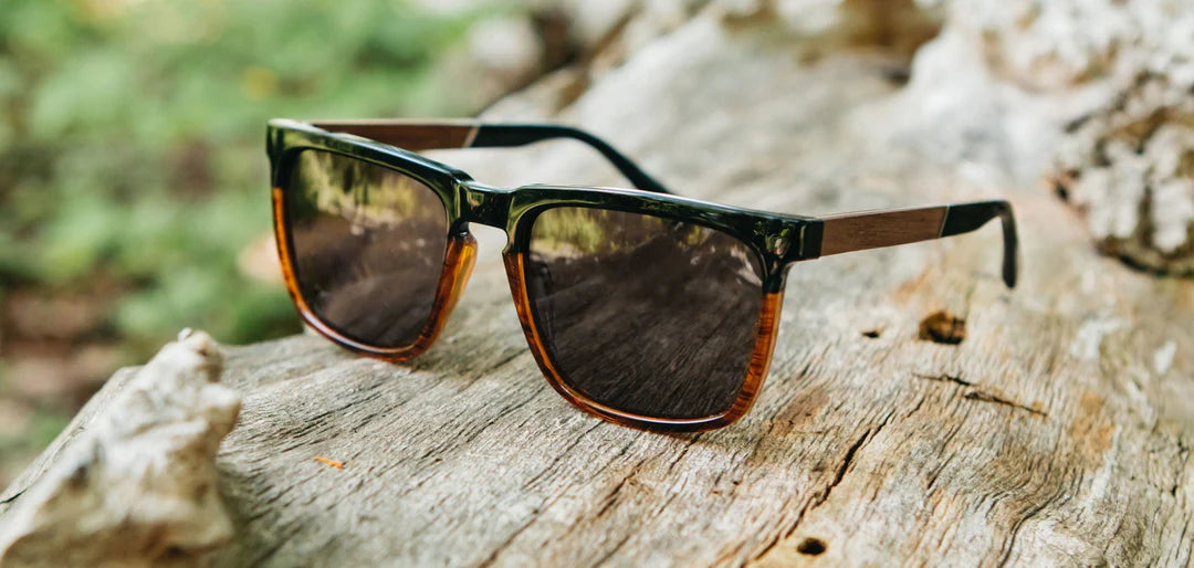 Ridge Camp Sunglasses in Black Tortoise Walnut