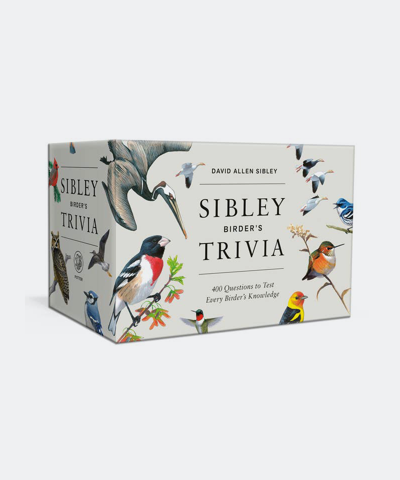 Sibley Birder's Trivia