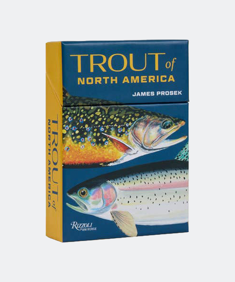 Trout of North America Card Deck