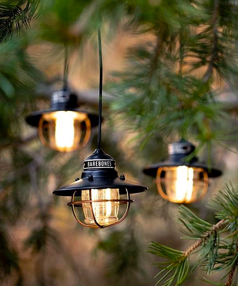 Edison String Lighting Edison String Lights – Ellicott & Co.