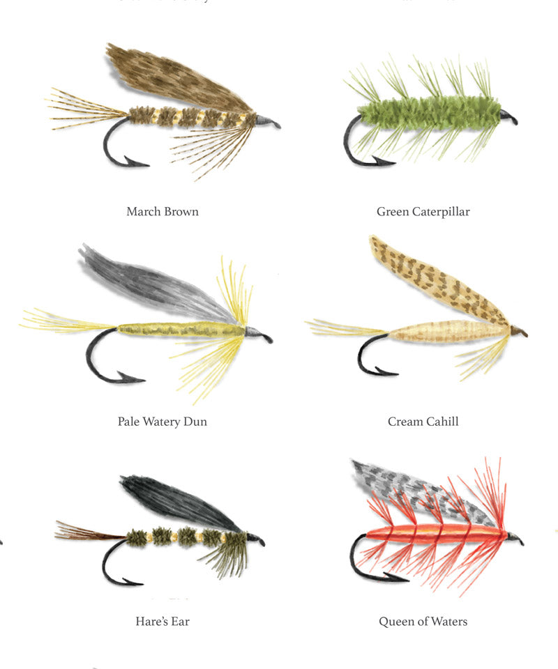 Fly Fishing Lures Poster