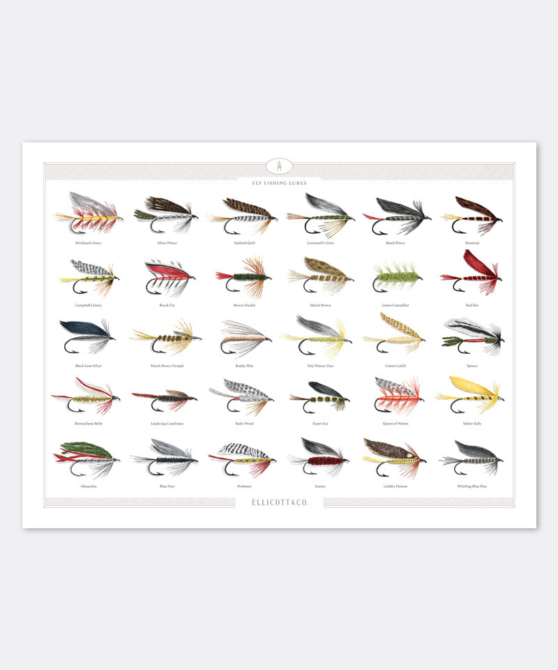 Fly Fishing Lures Poster
