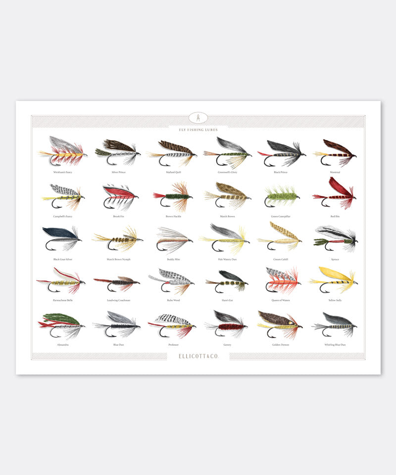 fishing fly lure Fly Fishing Lures Poster – Ellicott & Co