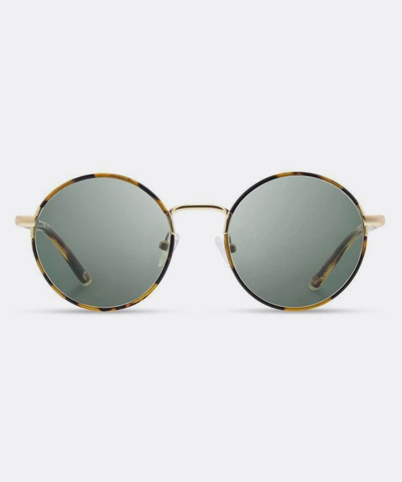 Hawthorne Acetate Sunglasses in Tortoise Ebony